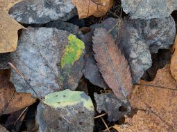 _DSC0192 null