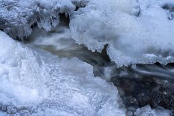 Frozen Stream null