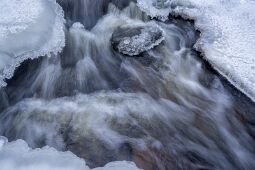 The Watercourse Way null