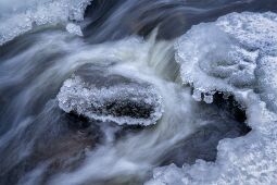 The Flow null