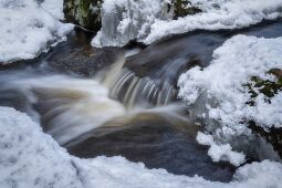 The Thaw null
