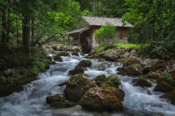 The Mill at the Gollinger Waterfall null