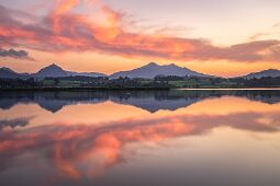 Stillness of Mind null