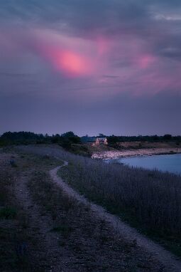 Last Remains of Light null
