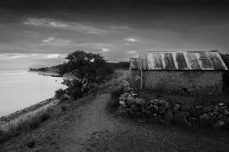 By the Sea null