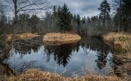 Horsesho Bend null