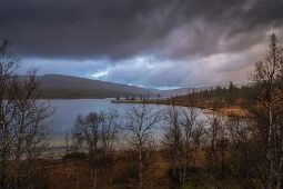 Approaching Storm null