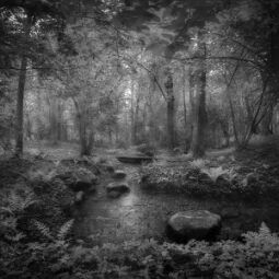Fairy Land null