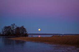 Full Moon #2 null