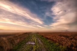 Pathway through the autumn fields null