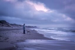 Skagen Light null
