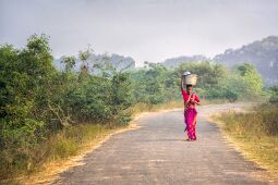 Colors of India null