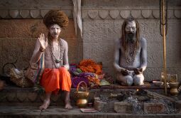 The Sadhu's Blessing null