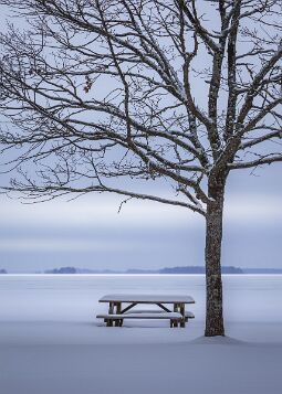 Winter at the Lake null