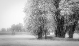 _MG_3886-Edit-Edit null