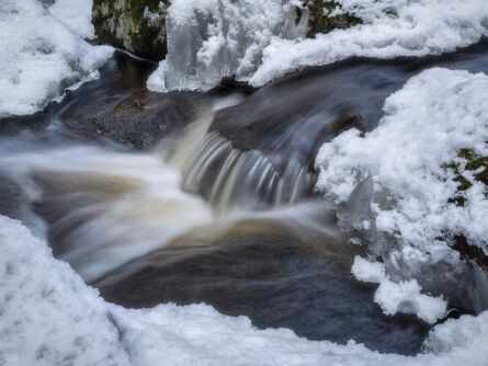 Intimate Landscapes Intimate Landscapes